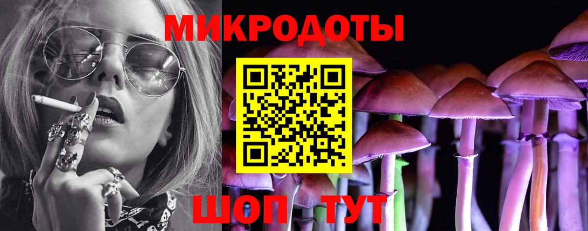 Елабуга  Псилоцибиновые грибы Cubensis  Галлюциногенные грибы мицелий  Вход с VPN 